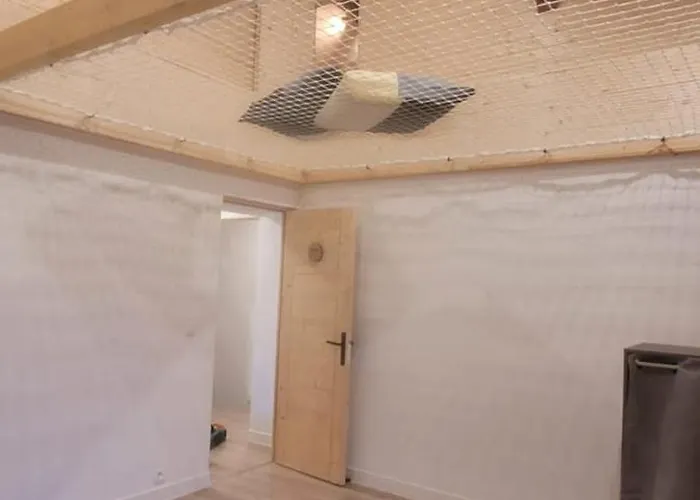 Des Rondins Tatil Evi